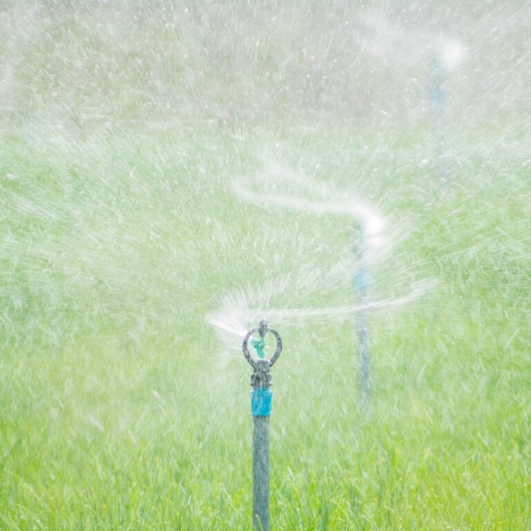 Understanding the Benefits of Regular Sprinkler Check-Ups