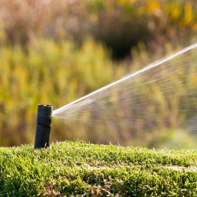 Sprinkler Repair in Spring, TX: Keeping Your Lawn Healthy and Hydrated
