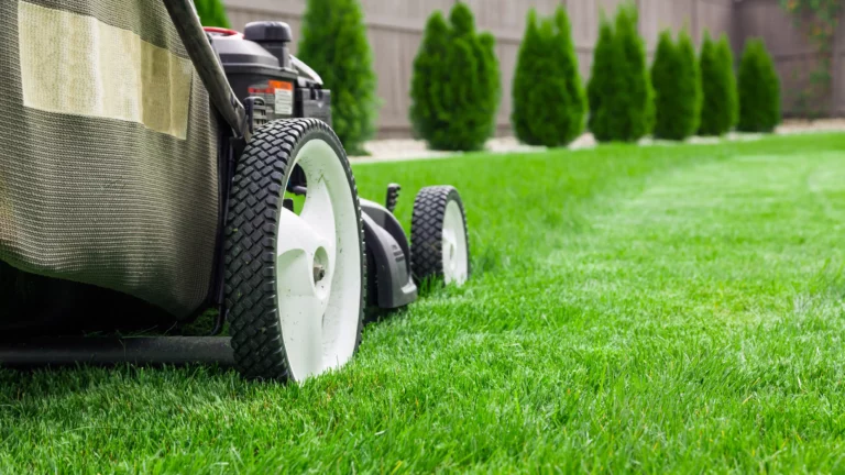 Tune-ups and Repairs for a Lush Lawn Revival